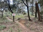 Un nou protocol farà més segures les batudes de caça en espais naturals protegits de Barcelona